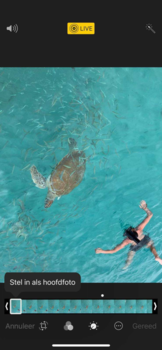 Curaçao - Ik en schildpadden