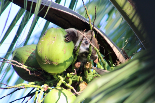 Playa del Carmen - Early morning view