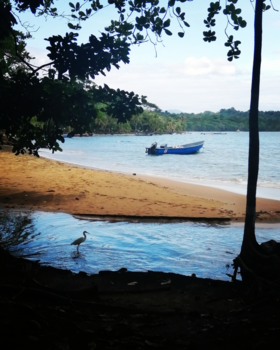 Costa Rica in drie weken - Manzanillo in the morning