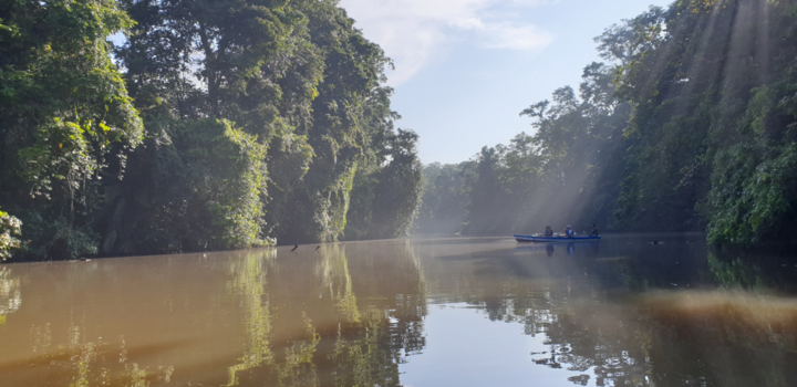 Costa Rica - Ochtendstralen op de kano in Tortuguero