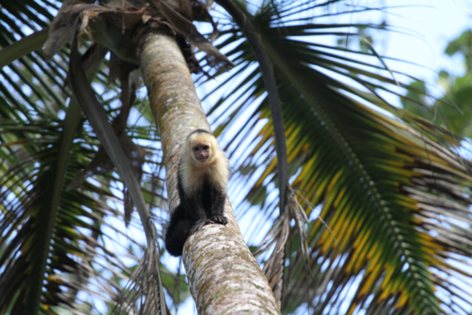 Costa Rica - Say cheese!