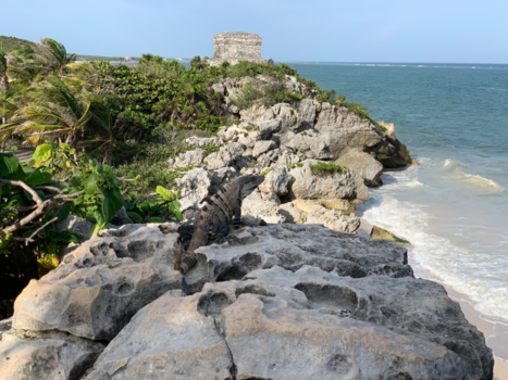 Mexico - Maya-stad Tulum