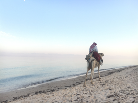 Rondreis Caribische kust Costa Rica - Sinai