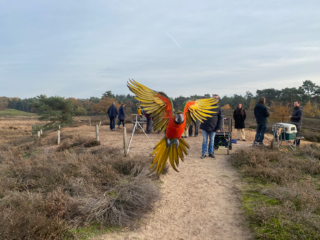 Rondreis Noord-Costa Rica - Vrijheid