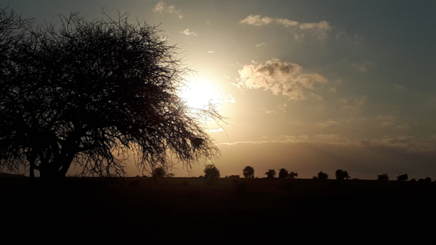 Costa Rica in drie weken - Het leven is mooi