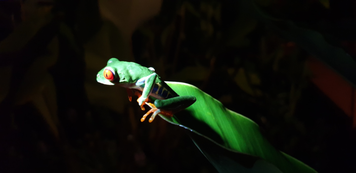 Costa Rica