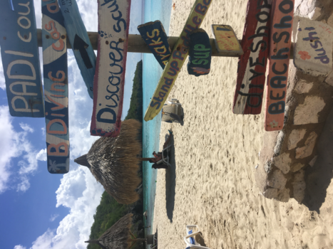 Curaçao - Relaxen op Cas Abou