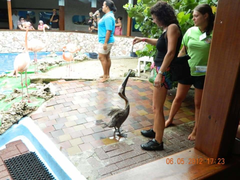 Willemstad - Curaçao
