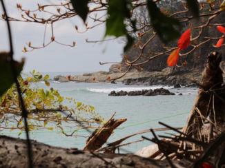 Manuel Antonio National Park - Beach Manuel Antonio