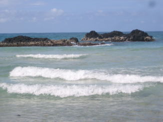 Manuel Antonio National Park - Beach Manuel Antonio