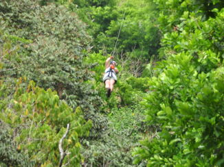 Manuel Antonio National Park - Canopy Tour Manuel Antonio
