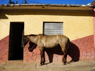 Trinidad (Cuba) - Heel normaal in Trinidad
