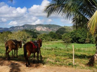 Viñales Valley