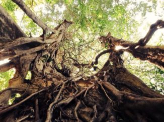 Manuel Antonio National Park