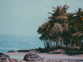 Punta Banco - Punta Banco.