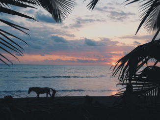 Punta Banco - Rancho Burica.