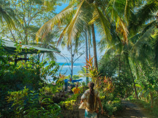 Punta Banco - Punta Banco natur.