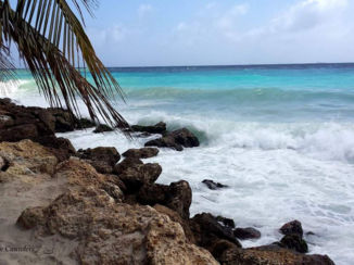 Curaçao - Jan thiel beach