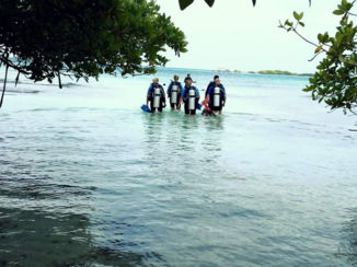 Aruba - Duiken is echt een aanrader op Aruba!