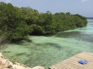 Aruba - Mangel Halto beach