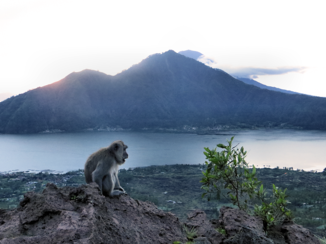 Cuba - Aan de top van de vulkaan!