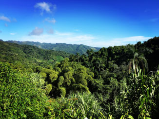 Cuba - Topes de Collantes