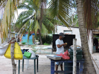Dominicaanse Republiek