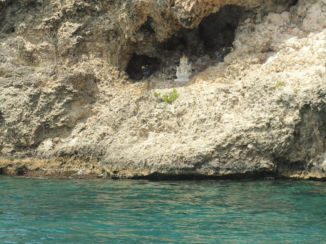 Curaçao - Nature meets Culture