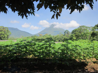 Costa Rica - Arenal vulkaan