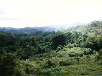 Ocho Rios - Bleu Mountain