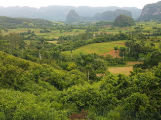 Cuba - De tabaksvelden van Viñales