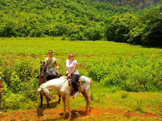 Cuba - Rijden door de tabaksvelden van Viñales