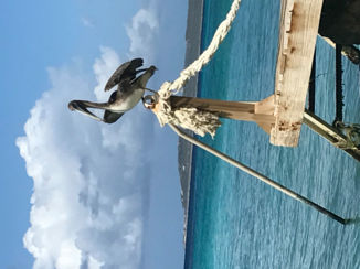 Curaçao - My best friend