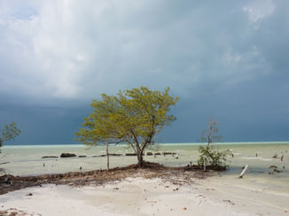 Mexico - Verschillende kleuren blauw