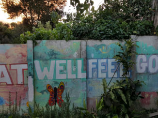 Antigua - Caoba Farm