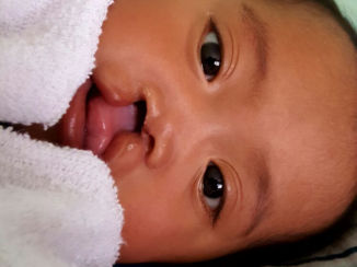 Antigua - Tess Unlimited