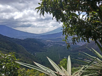 Antigua - Earth Lodge