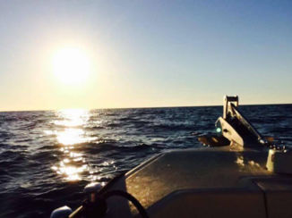 Mexico - Sunlight☼