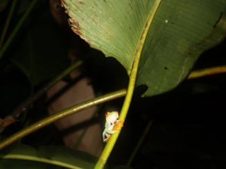 Costa Rica - La Fortuna
