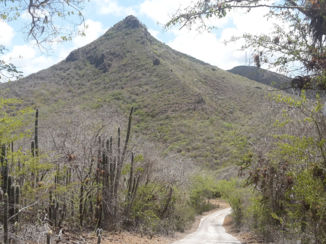 Curaçao - Christoffelberg in Christoffelpark