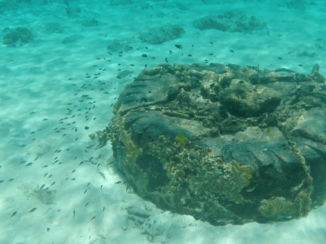 Curaçao - onderwaterwereld 2