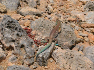 Shete Boka National Park