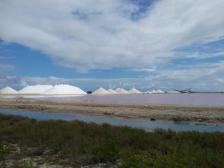 Bonaire - Zoutpanne