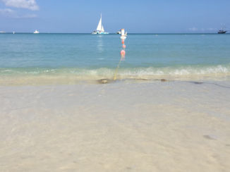 Aruba - Prachtige stranden