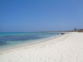 Aruba - arashi beach