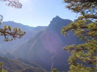 La Palma