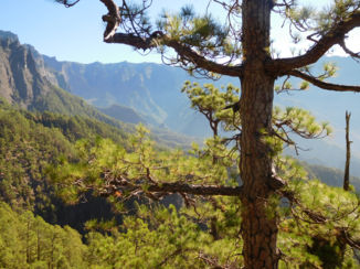 La Palma - Uitzicht op dak van het eiland