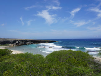 Curaçao - Christoffelpark