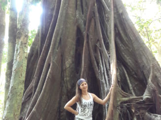 Corcovado National Park