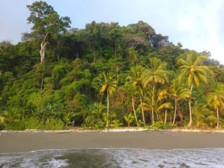 Corcovado National Park